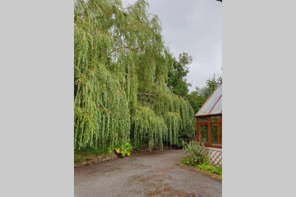 Willow Lodge Abergavenny Eksteriør billede