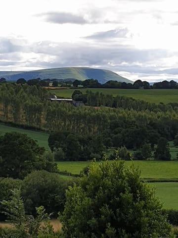 Willow Lodge Abergavenny Eksteriør billede